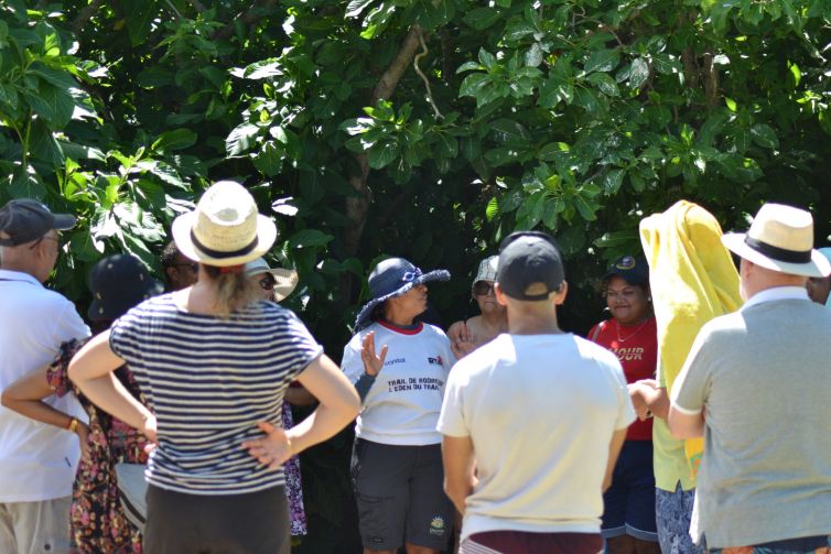 Découvrez Rodrigues