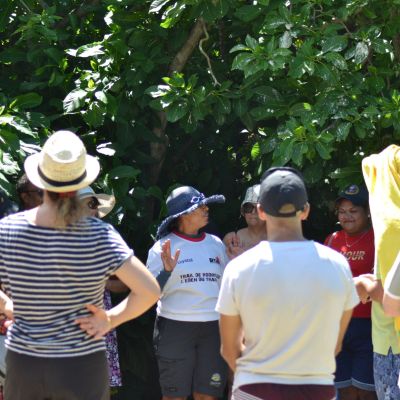 Découvrez Rodrigues