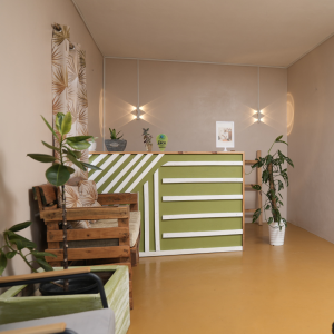 Speville's-Healing-Massage-Reception-Area