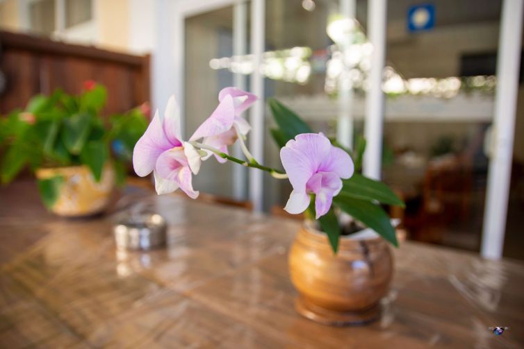 Flowers at Chez Jenny Port Mathurin