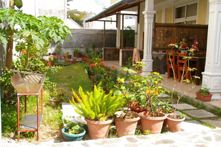 Garden view-accommodation-rodrigues