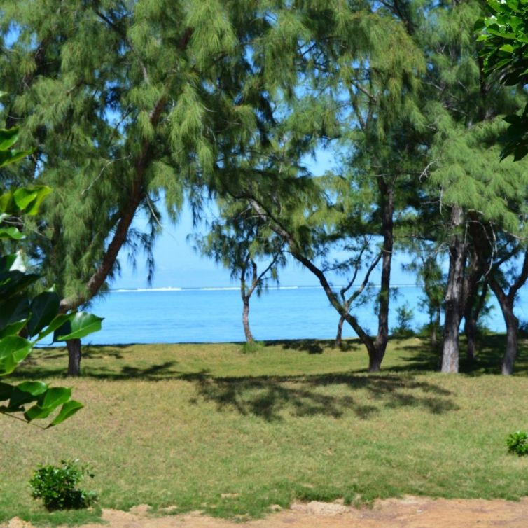 The view of Gravier Beach